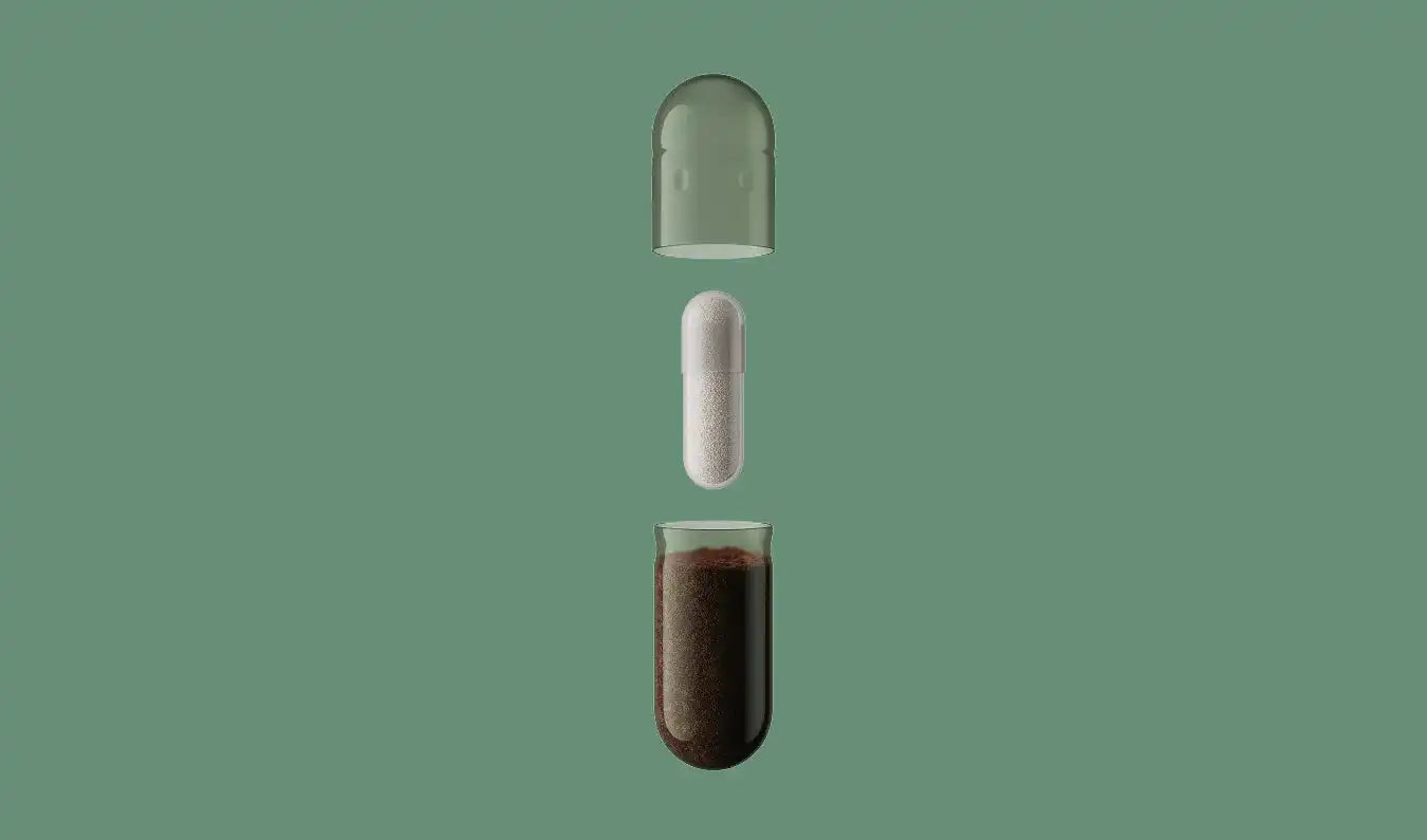 seedcare.it.com