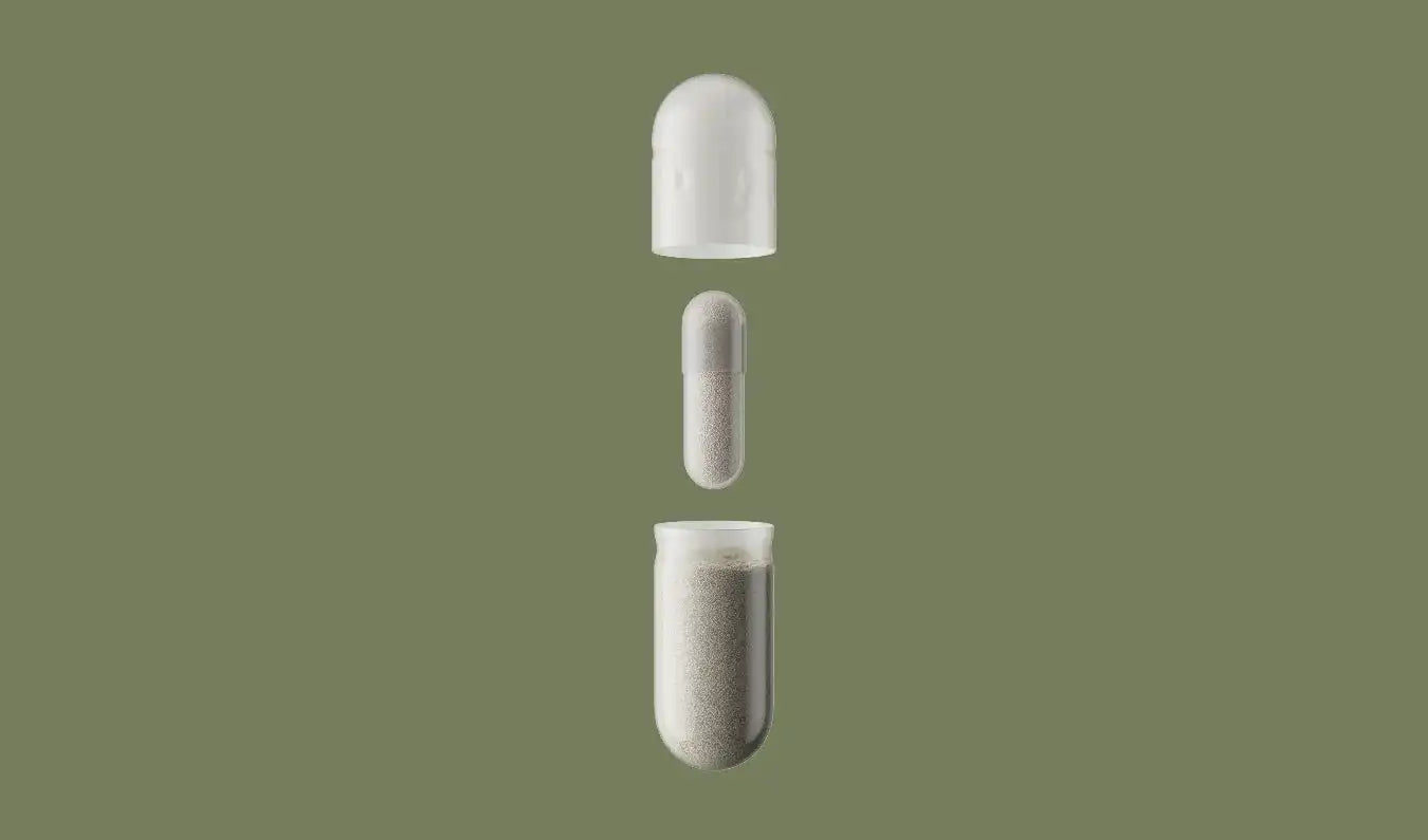 seedcare.it.com